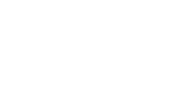 guidingeyes